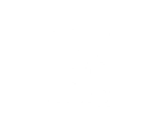 Lott IMPACT Trophy
